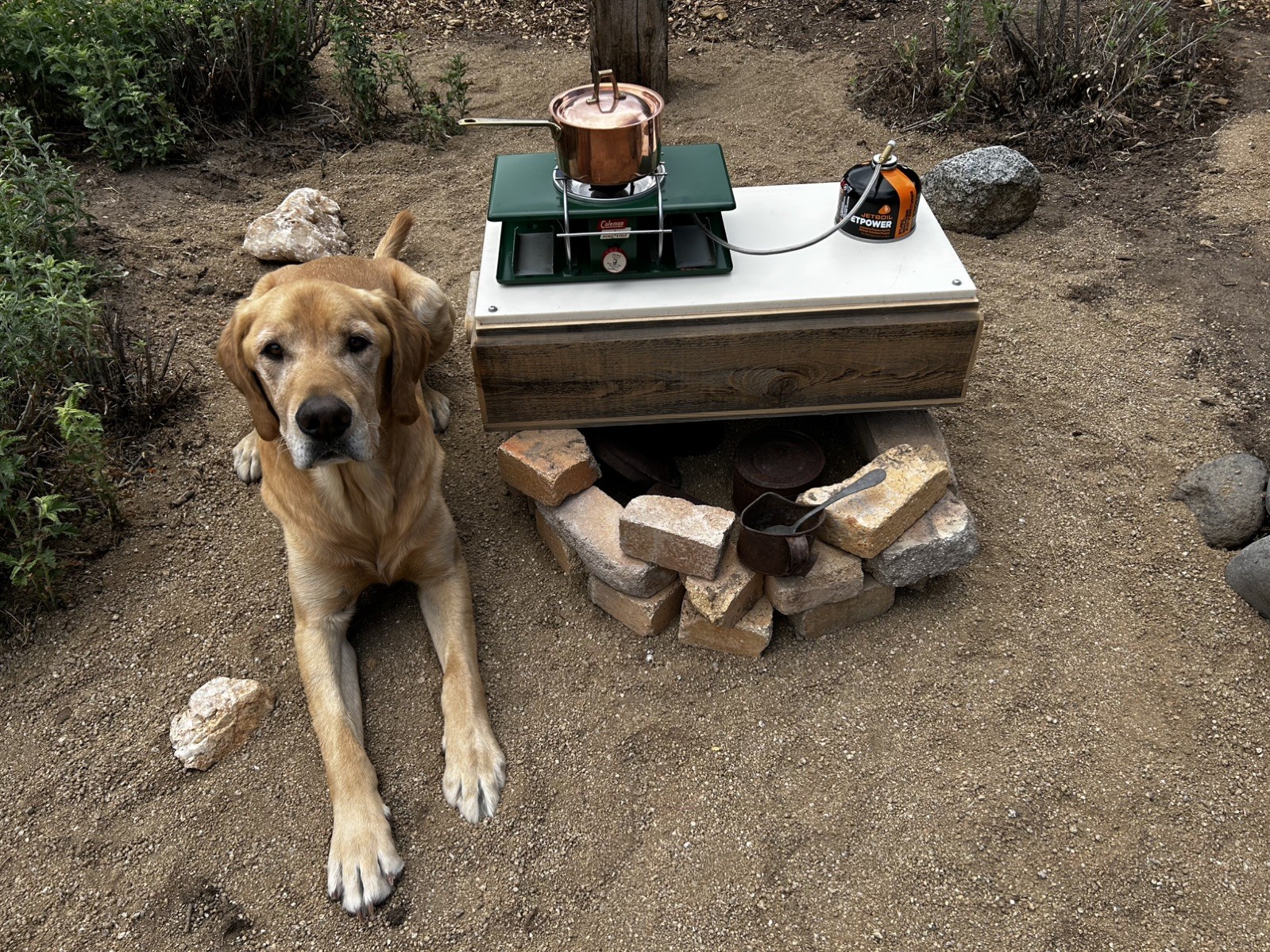 Coleman LP Gas Picnic Stove Fuel Adapter