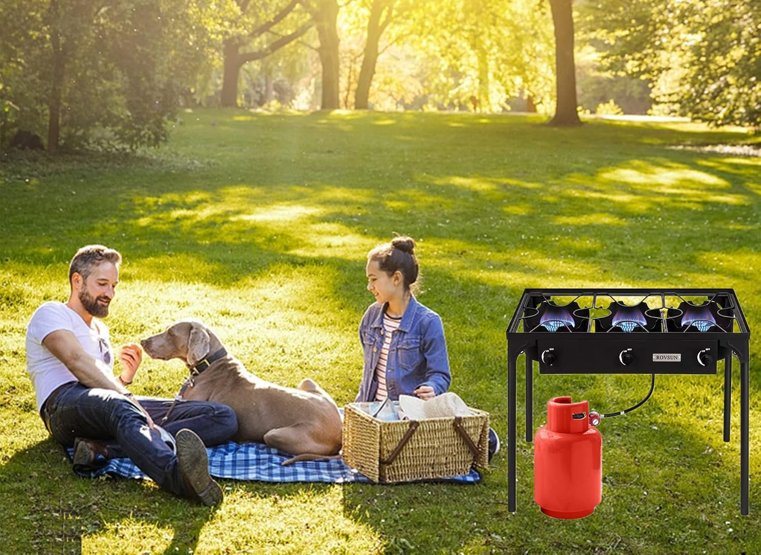 ROVSUN 2/3 Burner Outdoor Propane Gas Stove High Pressure Stand Cooker for Backy