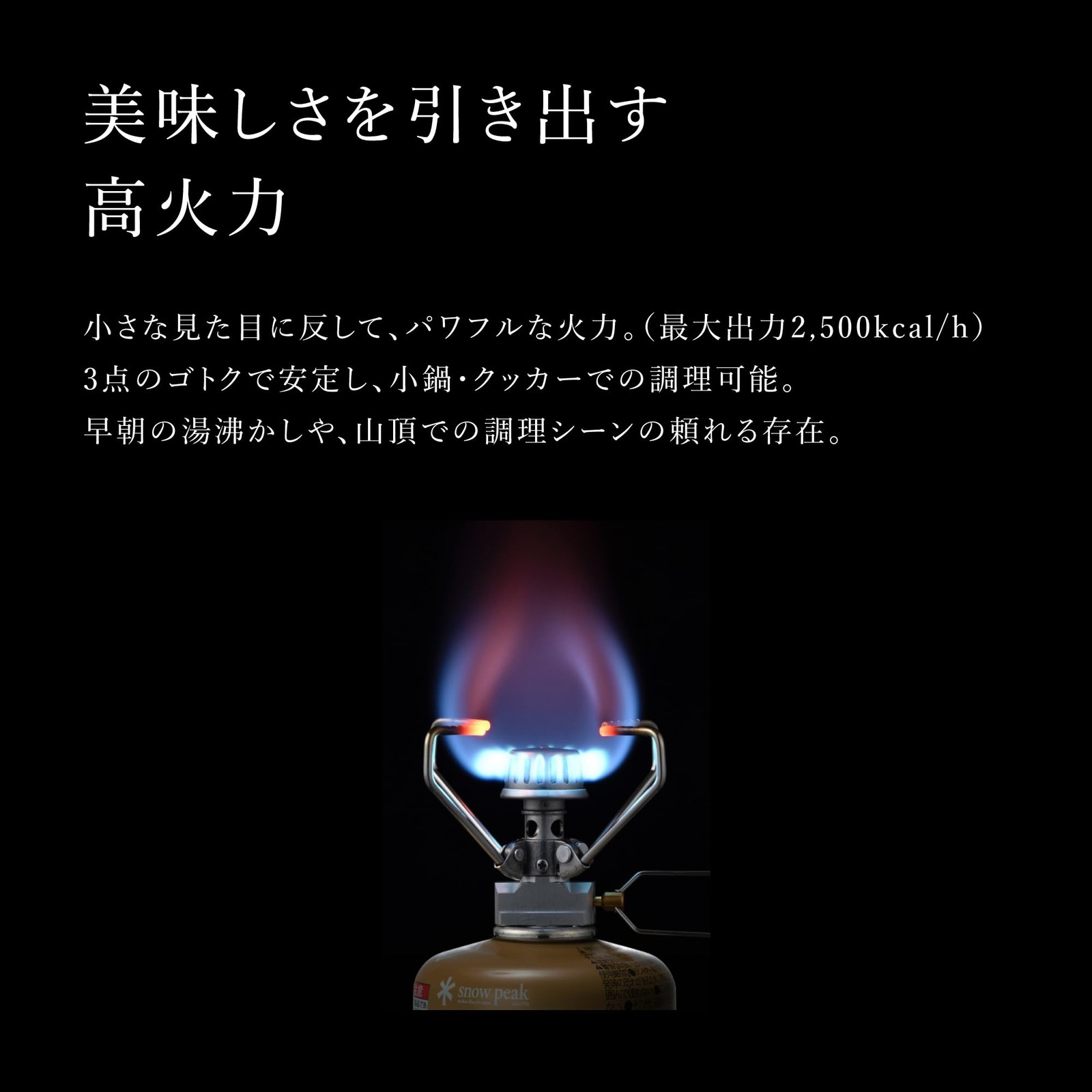 Snow Peak Giga Power Stove, Auto, GS-100AR2 Camping Outdoor Japan New