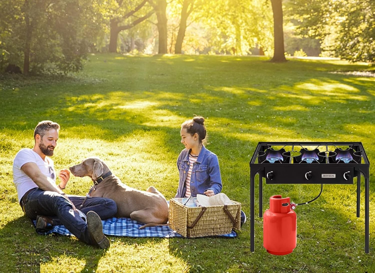 2/3 Burner Outdoor Propane Gas Stove High Pressure Stand Cooker Backyard Cooking