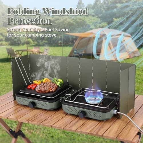 Hisencn 2 Burner Propane Camping Stove with Windscreen Carry Bag