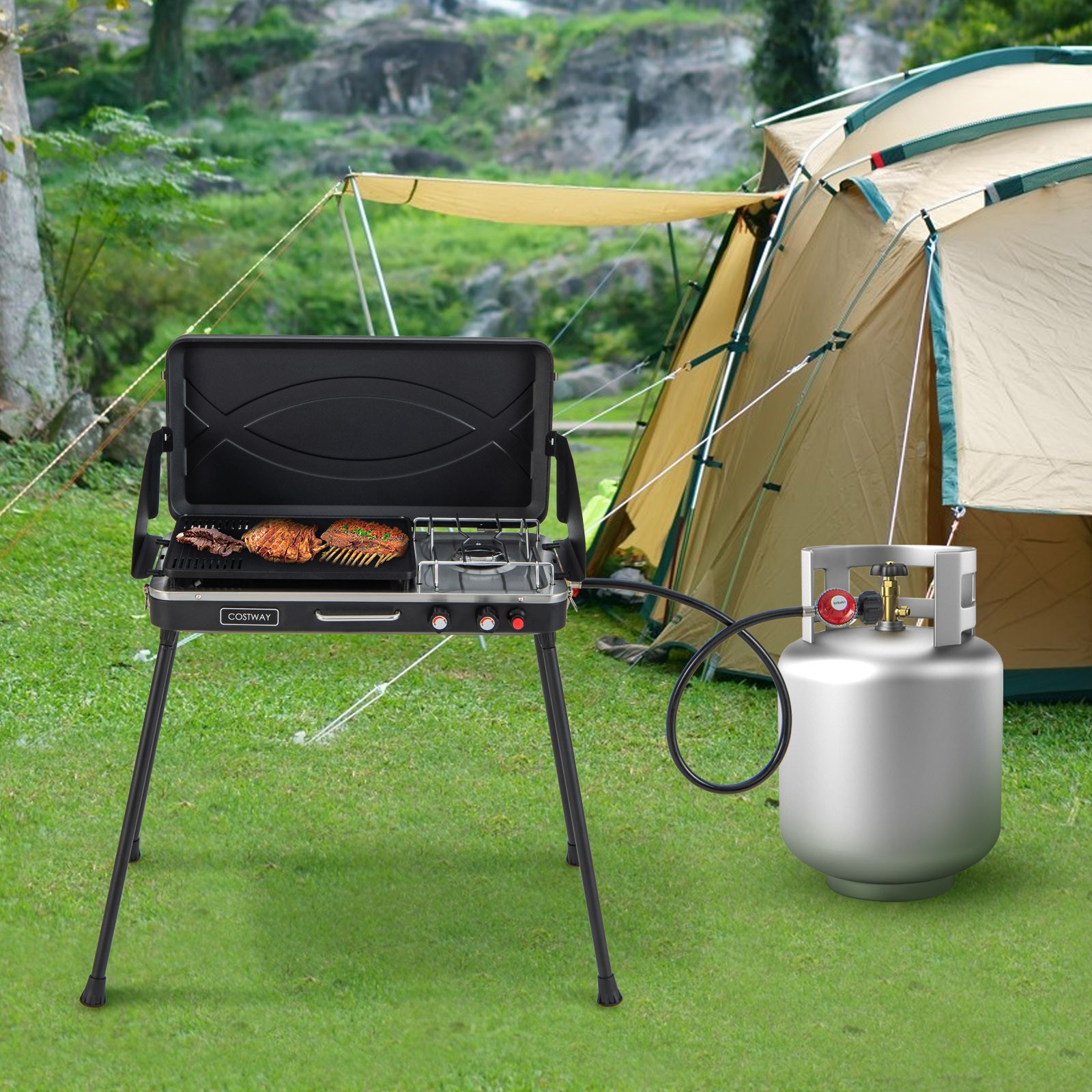 2-in-1 Propane Gas Grill w/ 10,000 BTU Burner & Dual Control Knobs Black