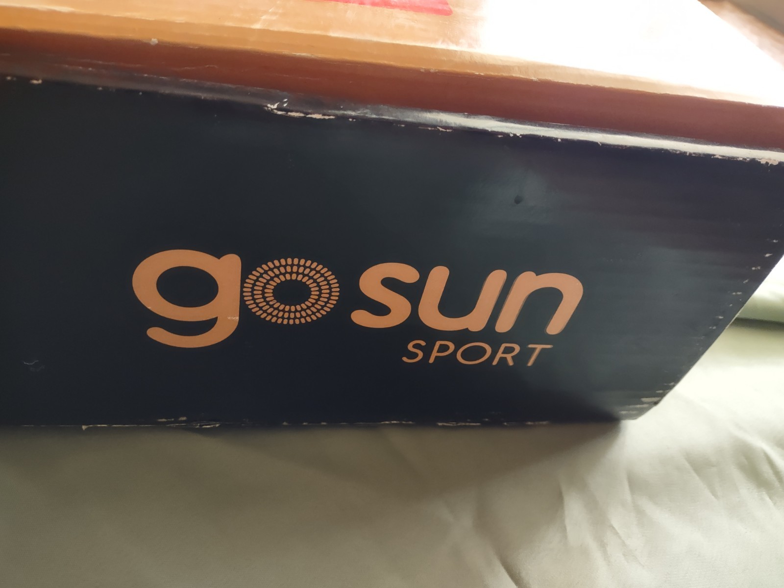 GoSun Sport SOLAR COOKER OVEN Breakthrough Camping Off Grid Portable Storage Bag