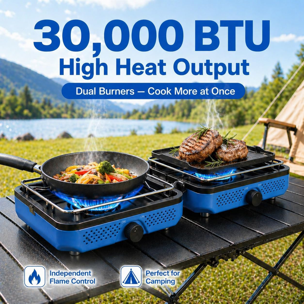 Portable 2-Burner Propane Camping Stove with Carry Bag – 30,000 BTU
