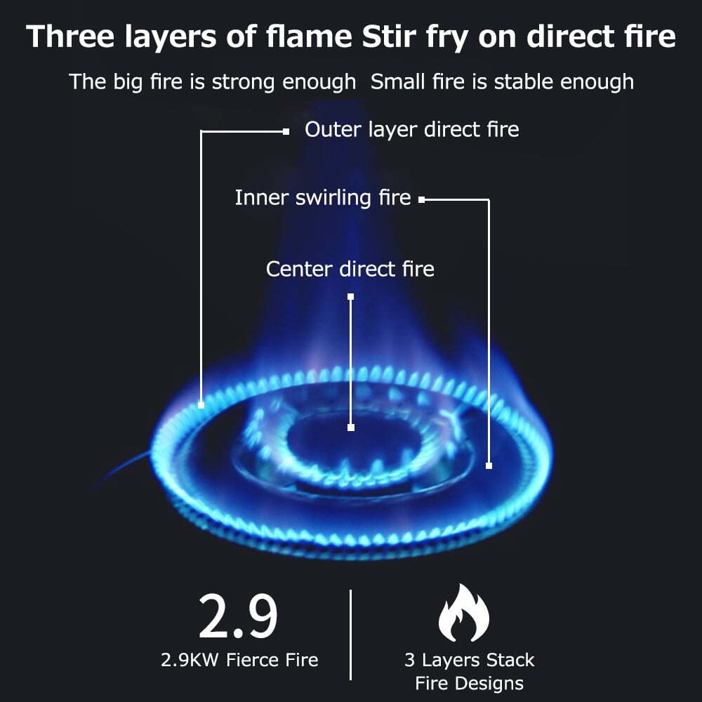 Portable 2900W Butane Gas Stove Outdoor Camping Cooker for Travel & Hiking