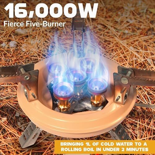 Portable Multi Fuel Butane or Propane Camping Stove Burner with Carry Case