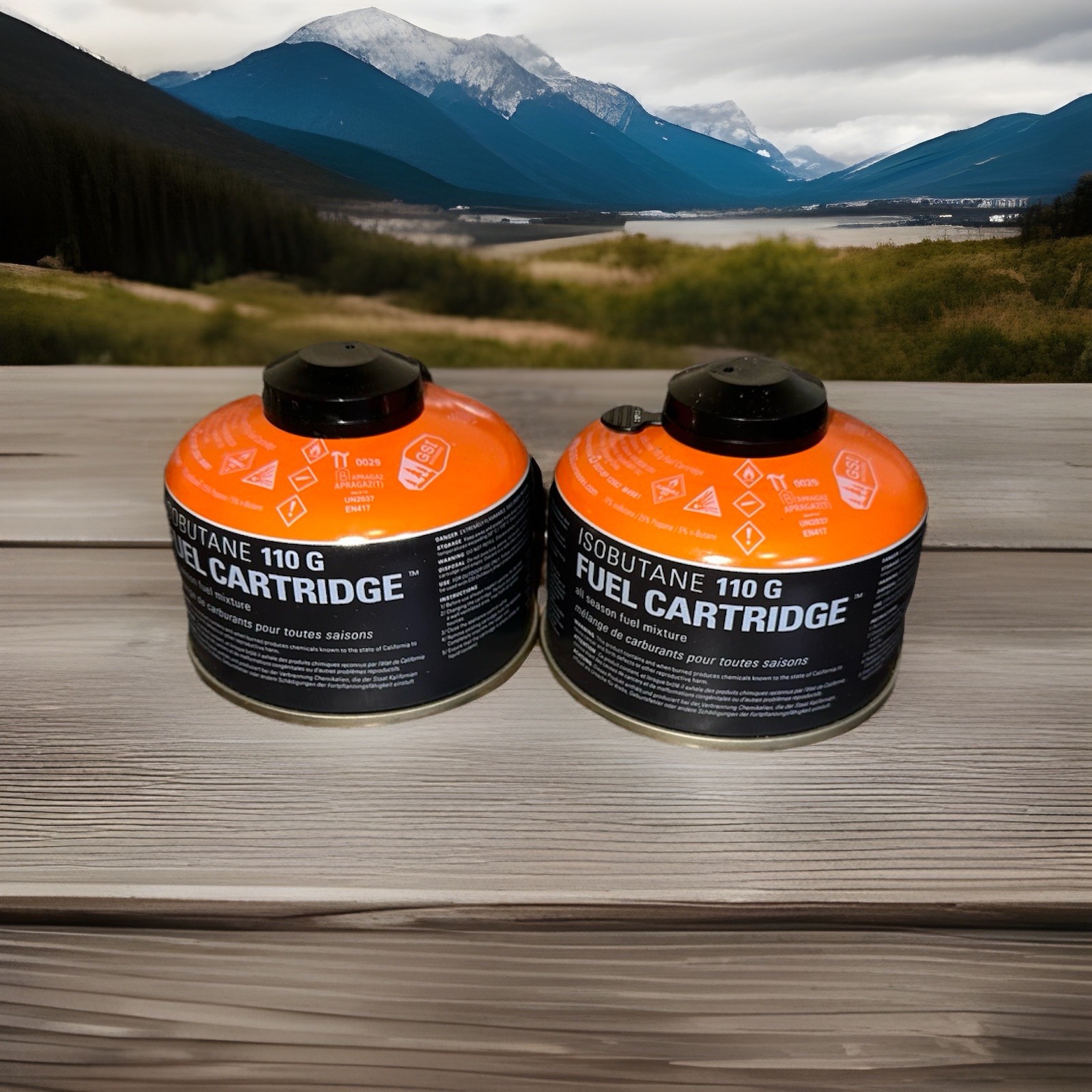 GSI Outdoors Isobutane Fuel Cartridge 110g (2pack)