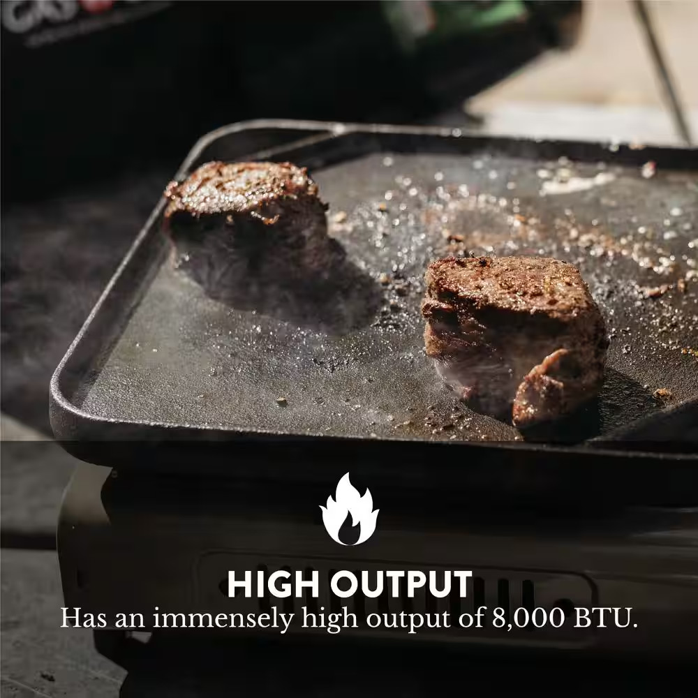 Propane and Butane Dual Fuel Portable Stove