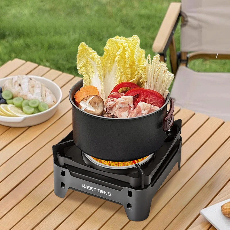 WESTTUNE Outdoor Infrared Combustion Stove Portable Cooking Burner 3600W Gas Sto
